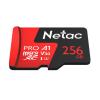 Карты памяти Netac 256GB 500 Extreme Pro NT02P500PRO-256G-R (с адаптером) [NT02P500PRO-256G-R]