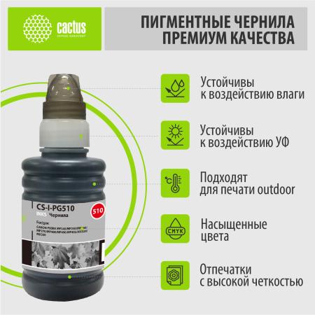 Картриджи для принтеров и МФУ CACTUS CS-I-PG510