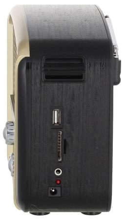 Радиоприемники Ritmix RPR-050 (золотой) [RPR-050 Gold]