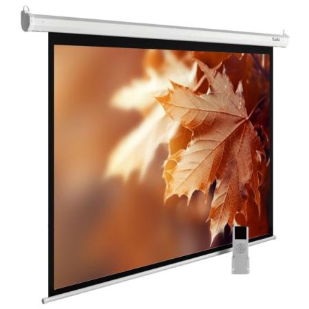 Проекционные экраны CACTUS MotoExpert 300x188 CS-PSME-300x188-WT [CS-PSME-300x188-WT]