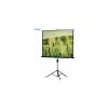 Проекционные экраны Lumien Master View 244x244 (LMV-100105)