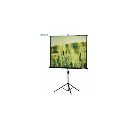 Проекционные экраны Lumien Master View 244x244 (LMV-100105)