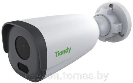 IP-камеры Tiandy TC-C32QN I3/E/Y/2.8mm/V5.0