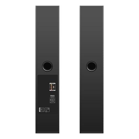 Мультимедиа акустика Ginzzu GM-325