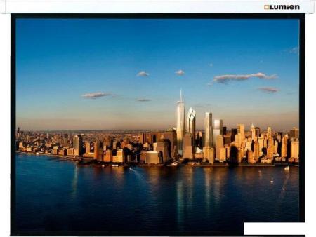 Проекционные экраны Lumien Master Picture 220x220 (LMP-100129)
