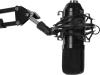 Микрофоны Ritmix RDM-169 [RDM-169 Black]
