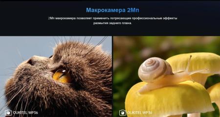 Мобильные телефоны Oukitel WP36 (черный)