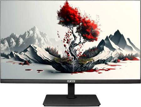Мониторы RDW Computers RDW 2401K [RDW2401K, 2401K/F00В0100V2A1H]