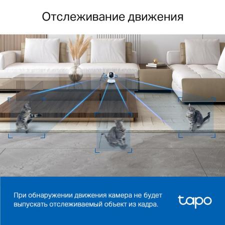 IP-камеры TP-Link Tapo C220