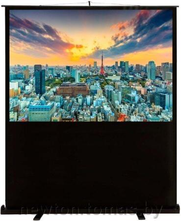 Проекционные экраны CACTUS FloorCompactExpert 68x120 CS-PSFLCE-120X68 [CS-PSFLCE-120X68]