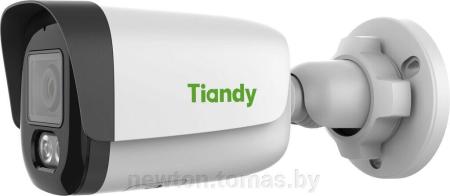 IP-камеры Tiandy TC-C32QN I3/E/Y/2.8mm/V5.0
