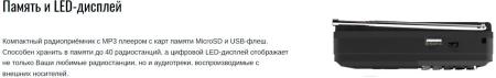 Радиоприемники Ritmix RPR-001 (черный) [RPR-001]