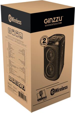 Беспроводные и портативные колонки Ginzzu GM-214