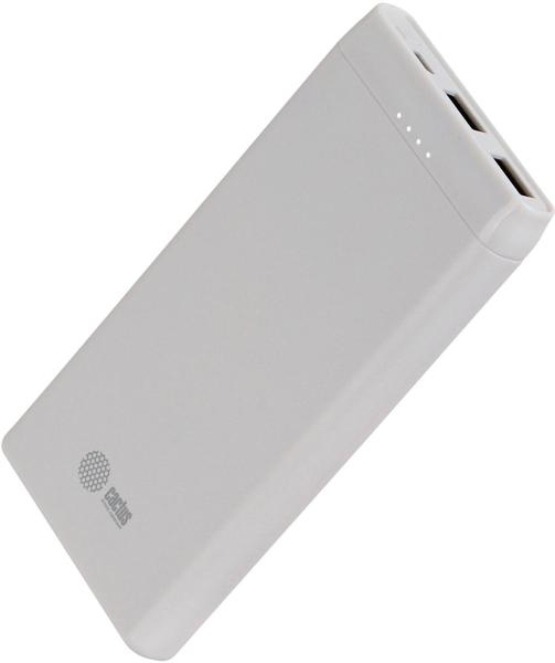 Портативные зарядные устройства CACTUS CS-PBFSMT-10000 (белый) [CS-PBFSMT-10000]