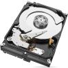 Жесткие диски Seagate SkyHawk AI 10TB ST10000VE0008 [ST10000VE0008, DHST10000VE0008]