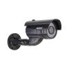 IP-камеры Rexant 45-0250