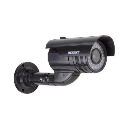 IP-камеры Rexant 45-0250