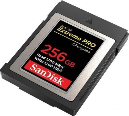 Карты памяти SanDisk Extreme PRO SDXC SDSDXXD-256G-GN4IN 256GB [SDSDXXD-256G-GN4IN]