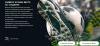 Телевизоры Hisense 75U8KQ