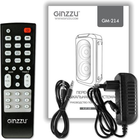 Беспроводные и портативные колонки Ginzzu GM-214