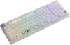 Клавиатуры Akko 3098B Doraemon Rainbow (Akko CS Jelly Pink)