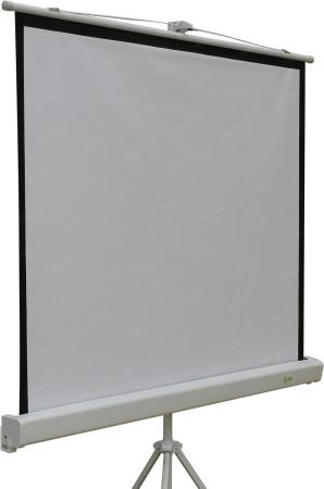 Проекционные экраны CACTUS Triscreen CS-PST-127X127 [CS-PST-127X127]