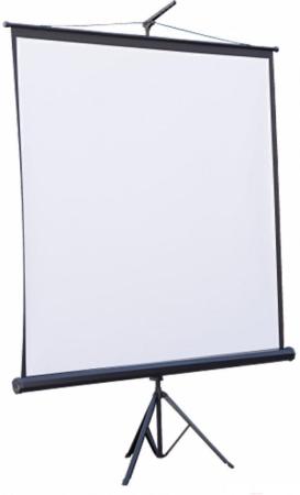 Проекционные экраны PL Magna TRM-NTSC-120D [TRM-NTSC-120D]