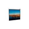 Проекционные экраны Lumien Master Picture 220x220 (LMP-100129)