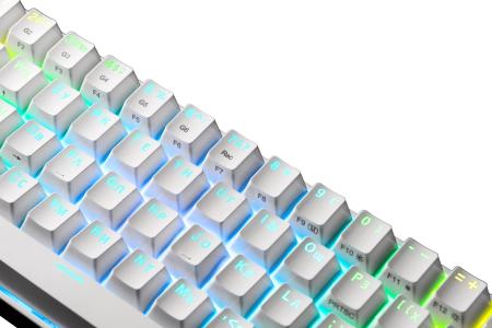 Клавиатуры Redragon Draconic (черный) [77696]