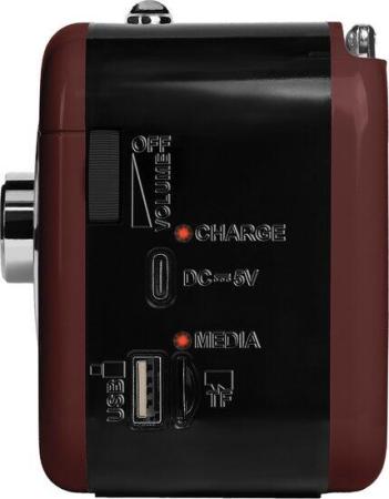 Радиоприемники Ritmix RPR-033 (шоколадный)