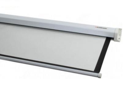 Проекционные экраны Lumien Master Picture 220x220 (LMP-100129)