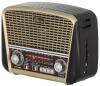 Радиоприемники Ritmix RPR-050 (золотой) [RPR-050 Gold]