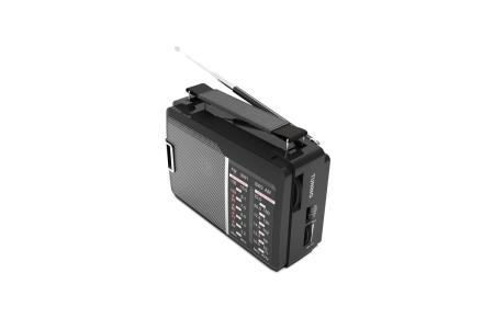 Радиоприемники Ritmix RPR-190