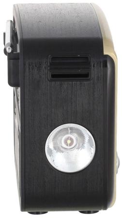 Радиоприемники Ritmix RPR-050 (золотой) [RPR-050 Gold]