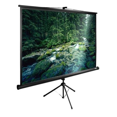 Проекционные экраны CACTUS TriExpert 165x220 CS-PSTE-220X165-BK [CS-PSTE-220X165-BK]