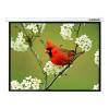 Проекционные экраны Lumien Master Picture 305x305 (LMP-100107)