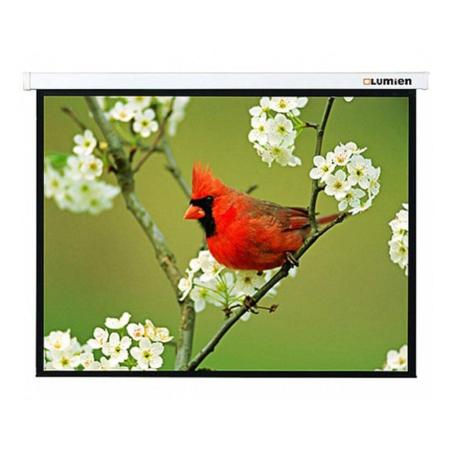 Проекционные экраны Lumien Master Picture 305x305 (LMP-100107)