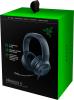 Наушники и гарнитуры Razer Kraken X Lite [RZ04-02950100-R381]