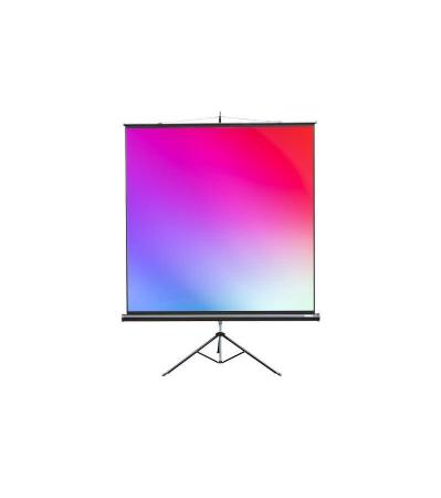 Проекционные экраны Lumien Master View 244x244 (LMV-100105)