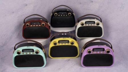 Радиоприемники Ritmix RPR-040 (белый)