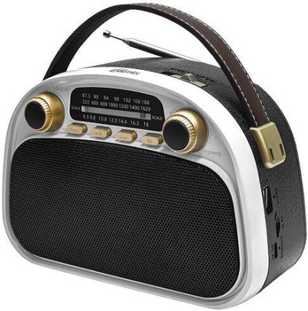 Радиоприемники Ritmix RPR-040 (белый)