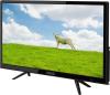 Телевизоры Polar P24L24T2C